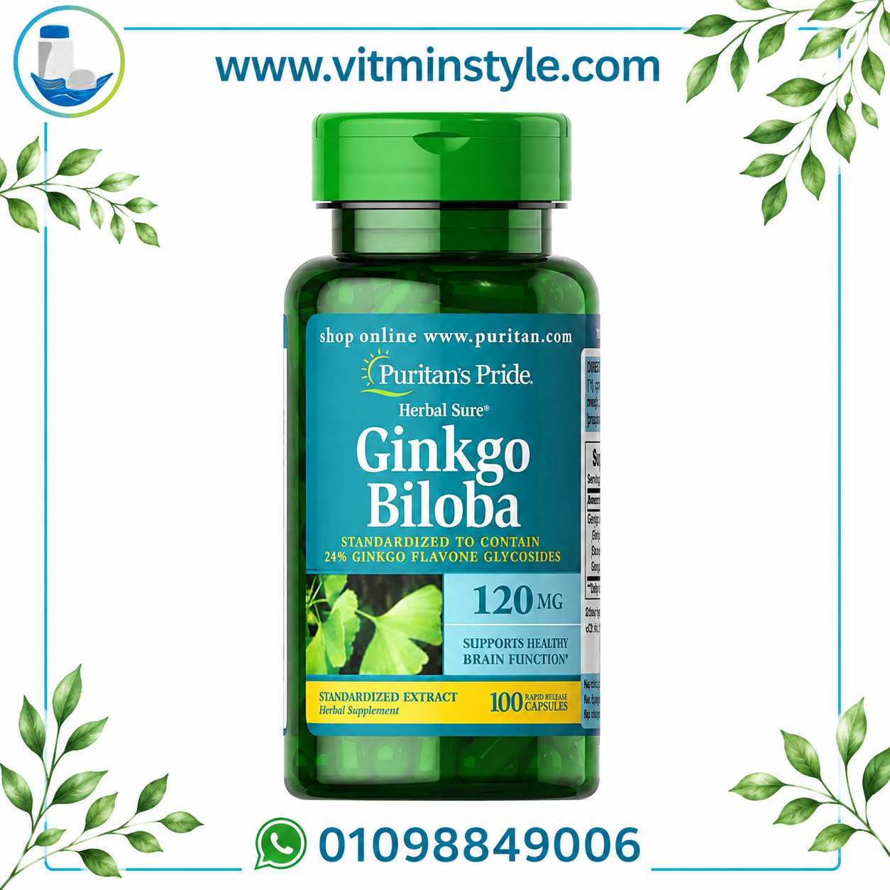 Puritan's Pride Ginkgo Biloba 120 mg 100 Rapid Release Capsules